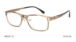 Bruno Botti 3187, C3