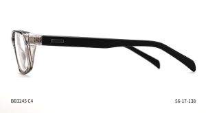 Bruno Botti 3245, C4