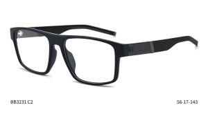 Bruno Botti 3231, C2