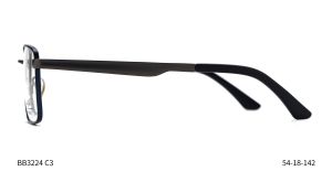 Bruno Botti 3224, C3