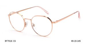 Bruno Botti 7018, C6