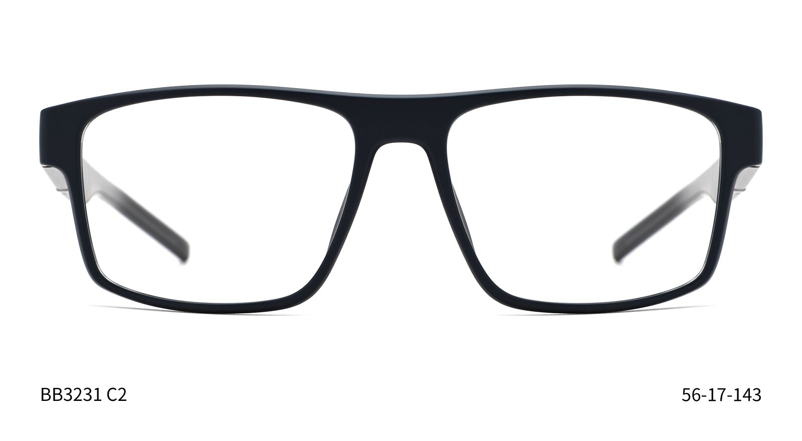 Bruno Botti 3231, C2