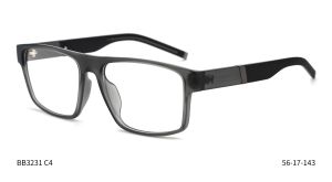 Bruno Botti 3231, C4