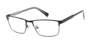 Bruno Botti 3106, C2