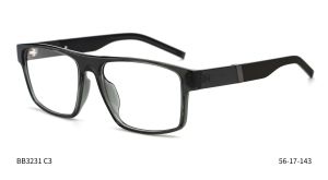 Bruno Botti 3231, C3