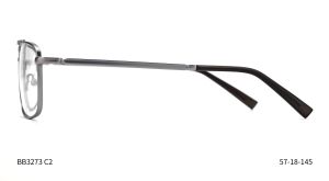 Bruno Botti 3273, C2