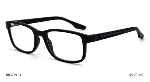 Bruno Botti 3229, C1