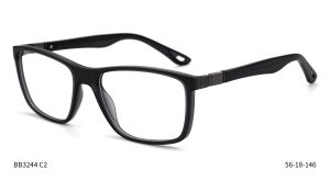 Bruno Botti 3244, C2