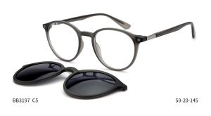 Bruno Botti 3197, C5