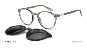 Bruno Botti 3197, C2