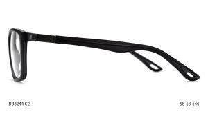 Bruno Botti 3244, C2