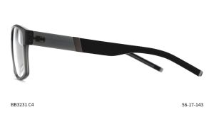 Bruno Botti 3231, C4