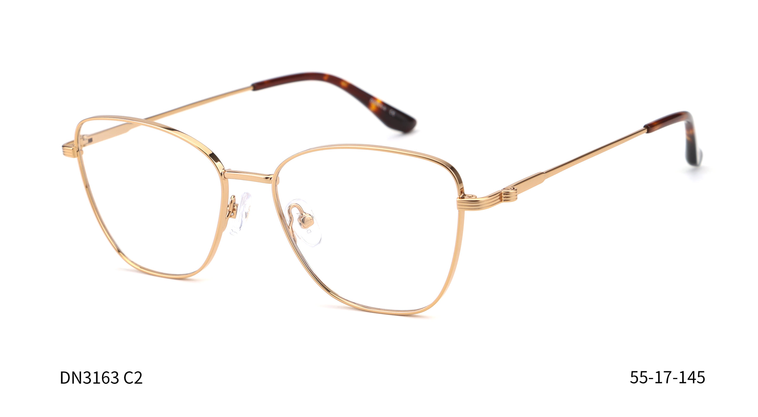 Donna 3163, C2