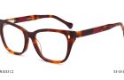 Donna 1033, C2