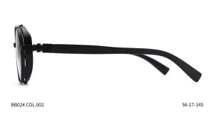 Bruno Botti BB024, C2