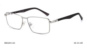 Bruno Botti 3283, C2