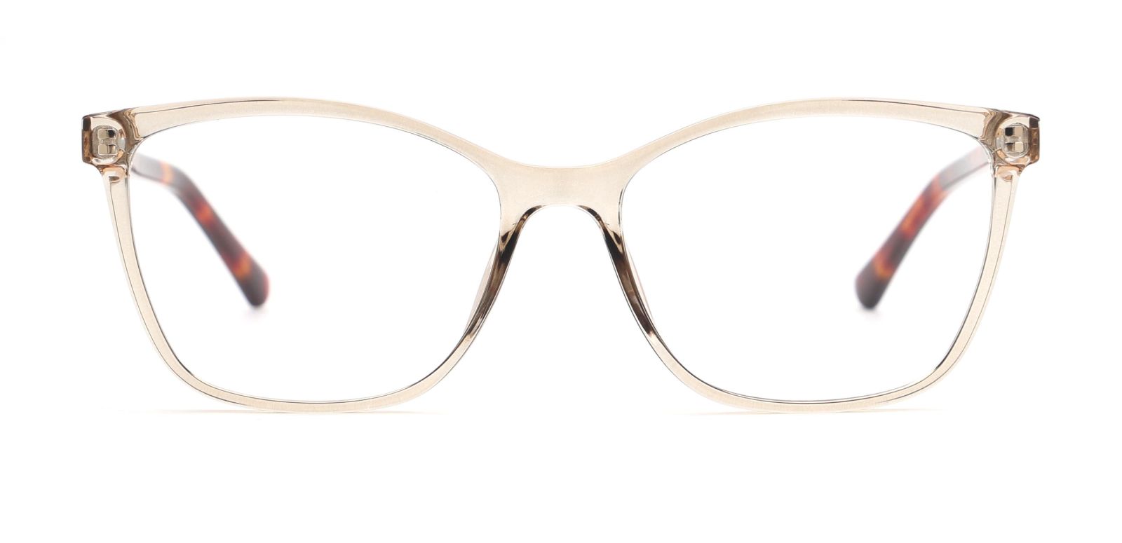 Donna 3091, C2