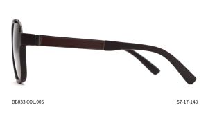 Bruno Botti BB033, C5