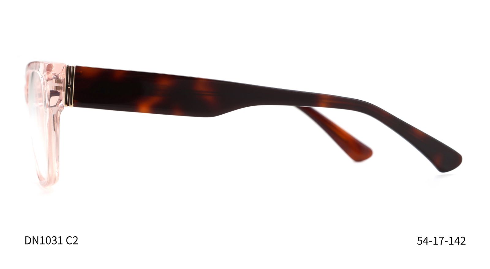 Donna 1031, C2