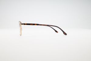 Donna 3165, C2